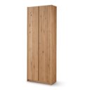 Archiefkast met deuren hout